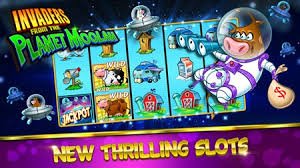 Exciting online sportsbook and live casino mobile view
